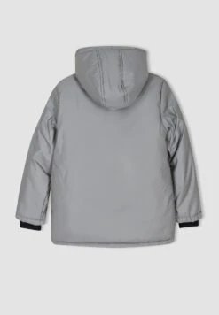 DeFacto Regular Fit - Winterjas - Reflector 7 DeFacto Regular Fit - Winterjas - Reflector -DeFacto d1ac58eacbbe4d148d2ea2f88785bc2c