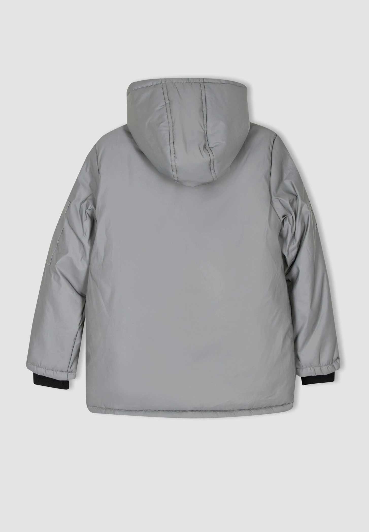 DeFacto Regular Fit - Winterjas - Reflector 4 DeFacto Regular Fit - Winterjas - Reflector - Afbeelding 2