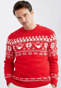 DeFacto Regular Fit - Trui - Red