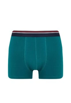 DeFacto 5Pack - Onderbroeken - Blue 12 DeFacto 5Pack - Onderbroeken - Blue -DeFacto d4129e76aad047638c22c626460f7759