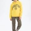 DeFacto Regular Fit- Hoodie - Yellow