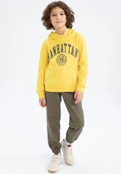 DeFacto Regular Fit- Hoodie - Yellow