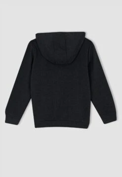 DeFacto Regular Fit- Hoodie - Anthracite 13 DeFacto Regular Fit- Hoodie - Anthracite -DeFacto dba7144e75f349a5bc72337f4ac50305