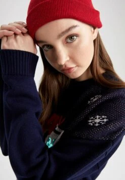 DeFacto Regular Fit Christmas Jumper - Trui - Navy 9 DeFacto Regular Fit Christmas Jumper - Trui - Navy -DeFacto df443ce1256d49edae075d878e9212fb