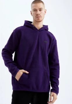 DeFacto Standart Fit- Hoodie - Purple