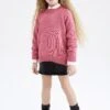 DeFacto Trui - Pink 1 DeFacto Trui - Pink -DeFacto e3df64b12beb43e99f1958650398af05