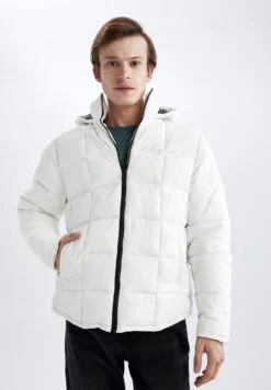 DeFacto 38 DeFacto Regular Fit- Winterjas - White