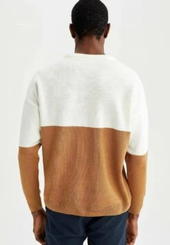 DeFacto Regular Fit - Trui - Brown 9 DeFacto Regular Fit - Trui - Brown -DeFacto ec9c0ea07b5d4a4a97c137b30caa1459