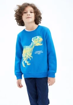 DeFacto Regular Fit- Sweater - Blue -DeFacto f44c70db45414bac9198aa13327fbcbb