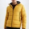 DeFacto Regular Fit- Winterjas - Yellow -DeFacto f4801d69f0e74388bfce7042f0eac4b2