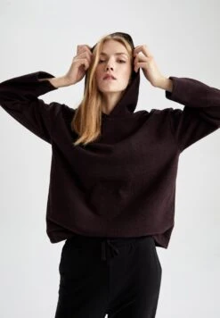 DeFacto Hoodie - Bordeaux