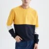 DeFacto Regular Fit - Sweater - Yellow 2 DeFacto Regular Fit - Sweater - Yellow -DeFacto f86ce6bb27cf4d2db5dc916cd8755d20
