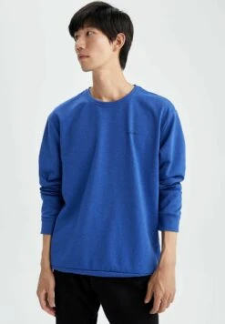 DeFacto Regular Fit - Sweater - Blue