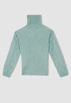DeFacto Regular Fit - Trui - Turquoise 7 DeFacto Regular Fit - Trui - Turquoise -DeFacto fa9871e21fc94ebfa533f034568b1186