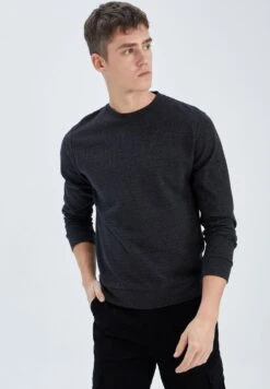 DeFacto Regular Fit - Sweater - Anthracite